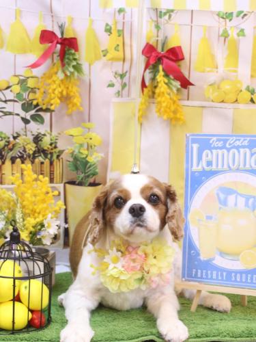 20240413ゲンキくん